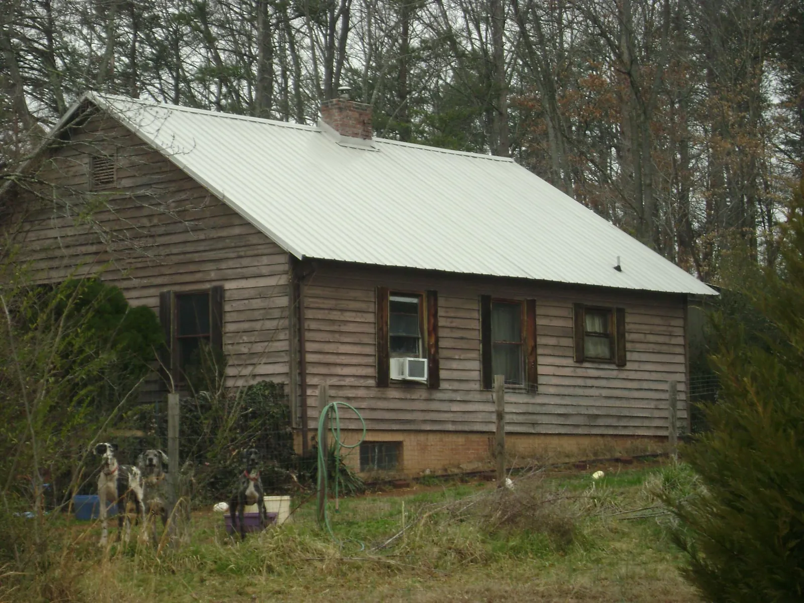 White metal roof on an old wood sided farmhouse, from a Asphalt Shingle Roof Repair job in Spring Hope
